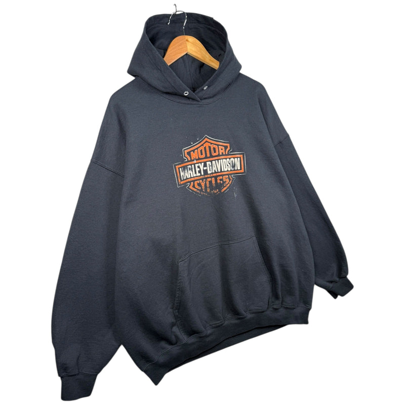 Vintage Harley Davidson Logo Graphic Hoodie
