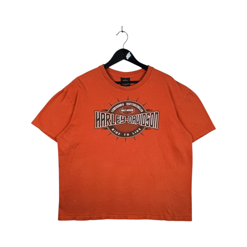 Vintage Harley Davidson Dillon Brothers Graphic T-Shirt