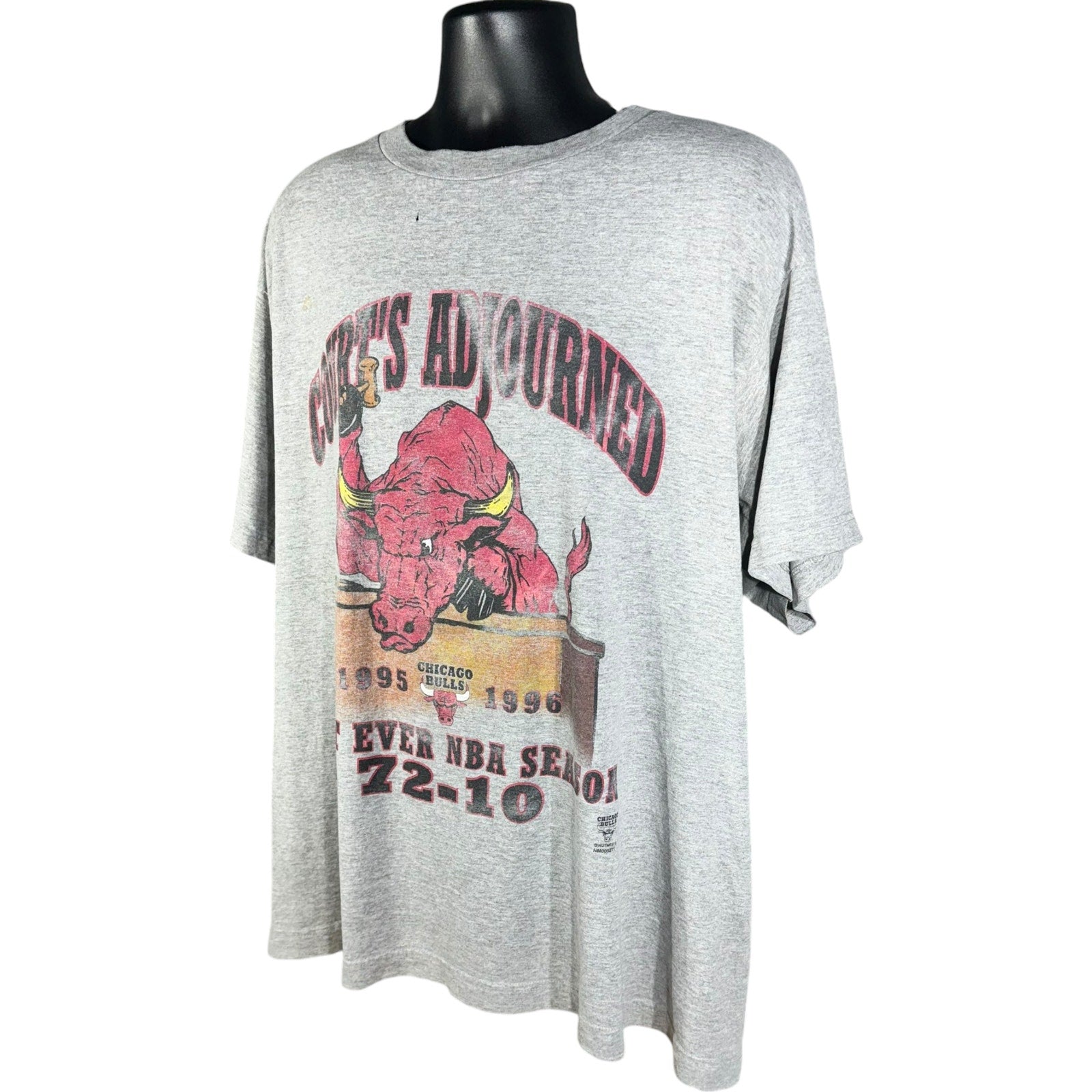 Vintage Chicago Bulls Courts Adjourned Tee 90s