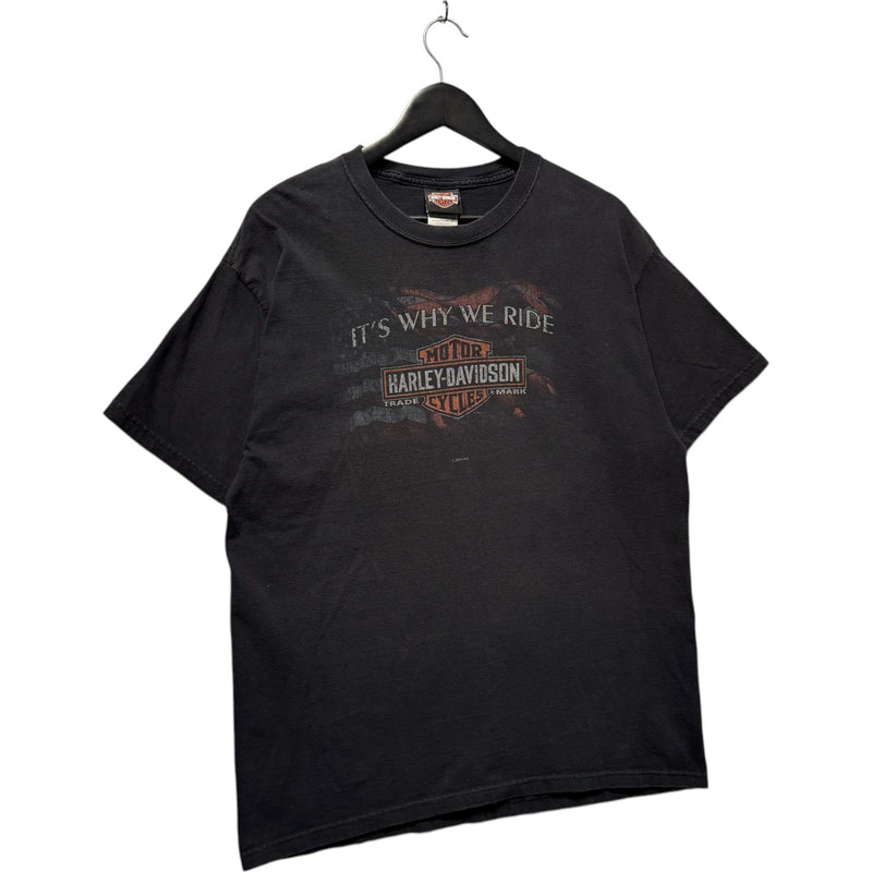 Vintage Harley Davidson "It's Why We Ride" Staunton, VA Tee