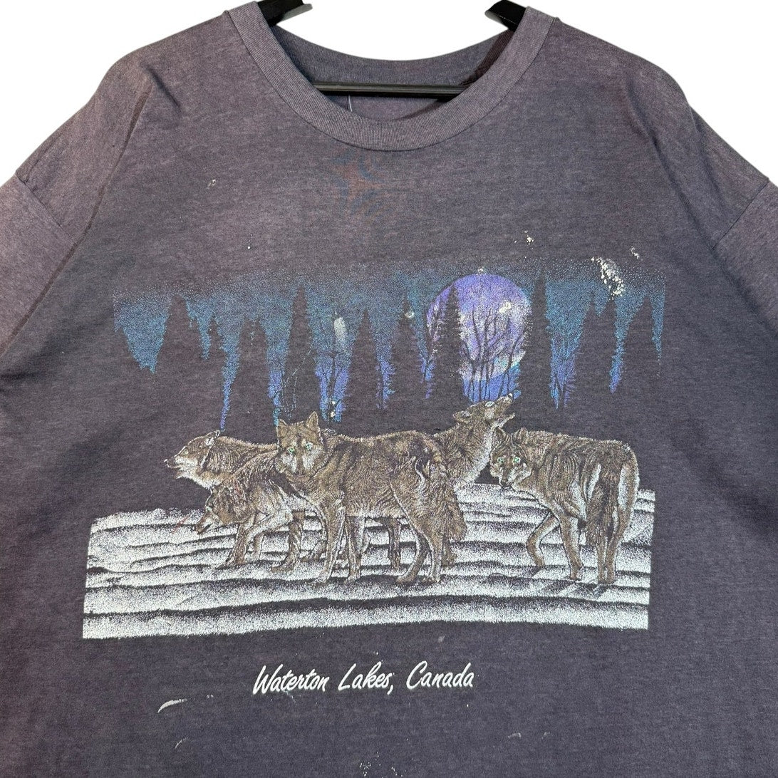 Vintage Waterton Lakes Canada Graphic T-Shirt