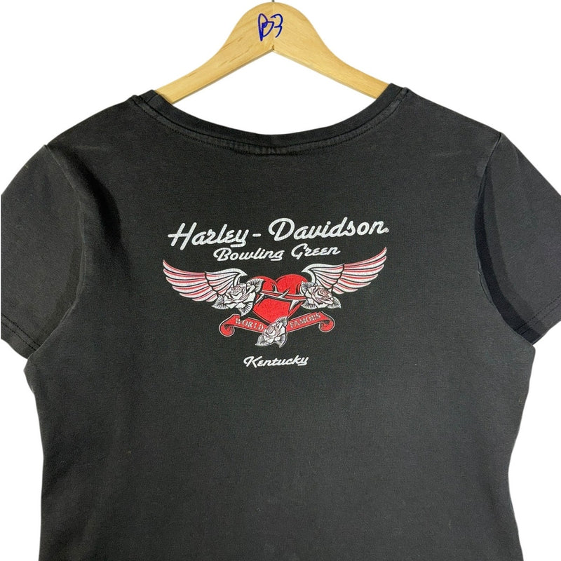 Vintage Harley-Davidson Eagle American Flag T-Shirt