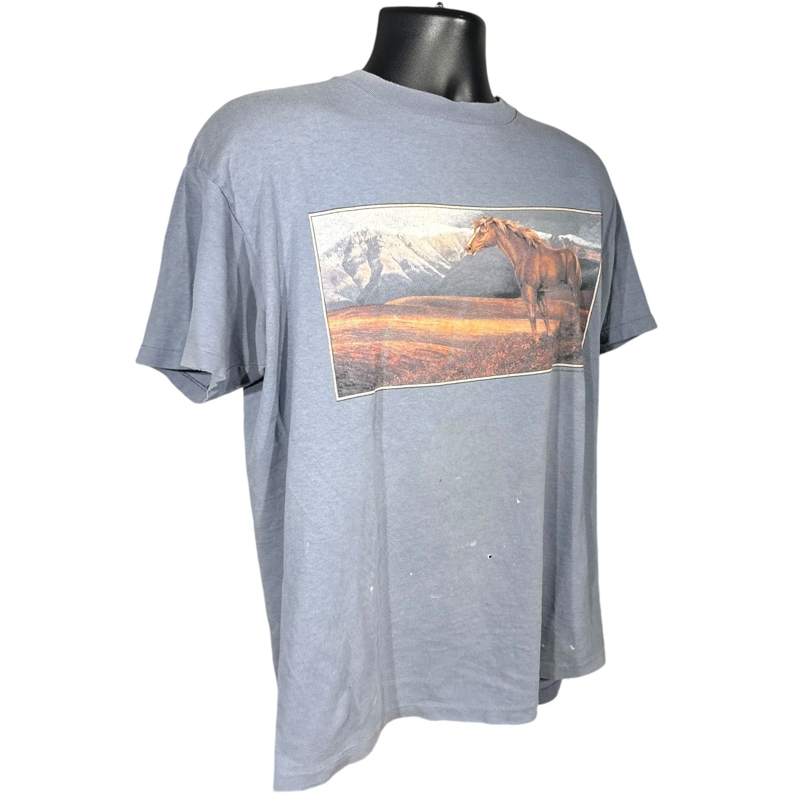 Vintage 3D Emblem Wild Mountain Horse Tee 90s