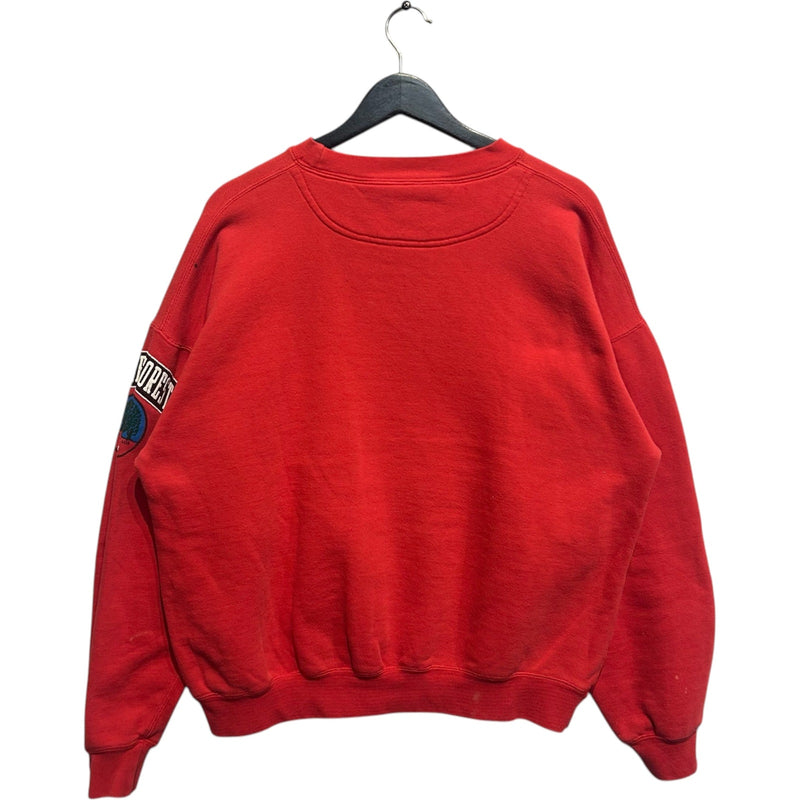 Vintage Lake Forest College Arch Spellout Crewneck