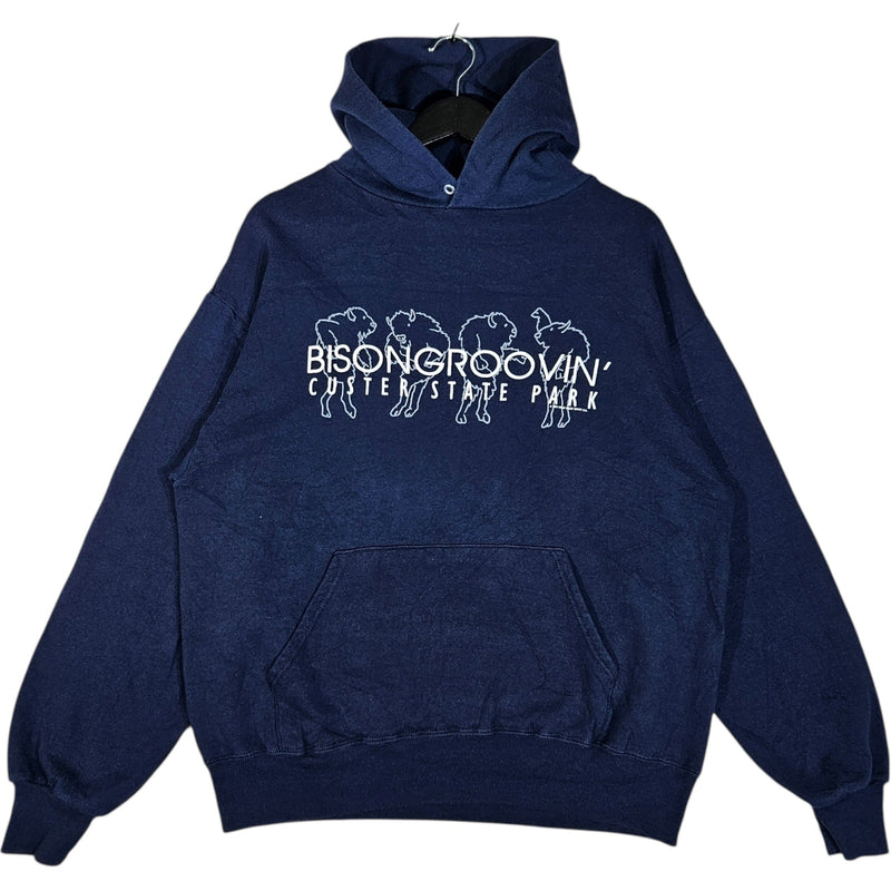Vintage Bison Groovin' Custer State Park Hoodie