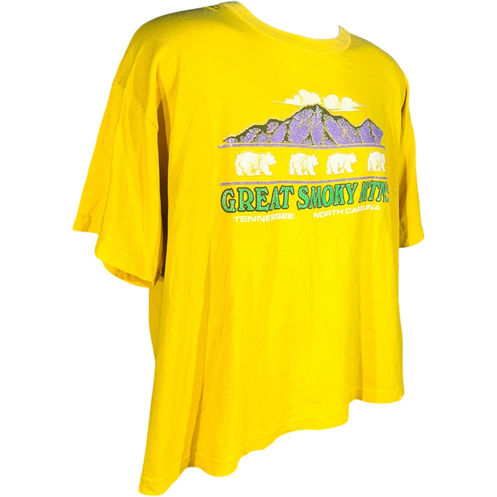 Vintage Great Smokey Mountains Tee