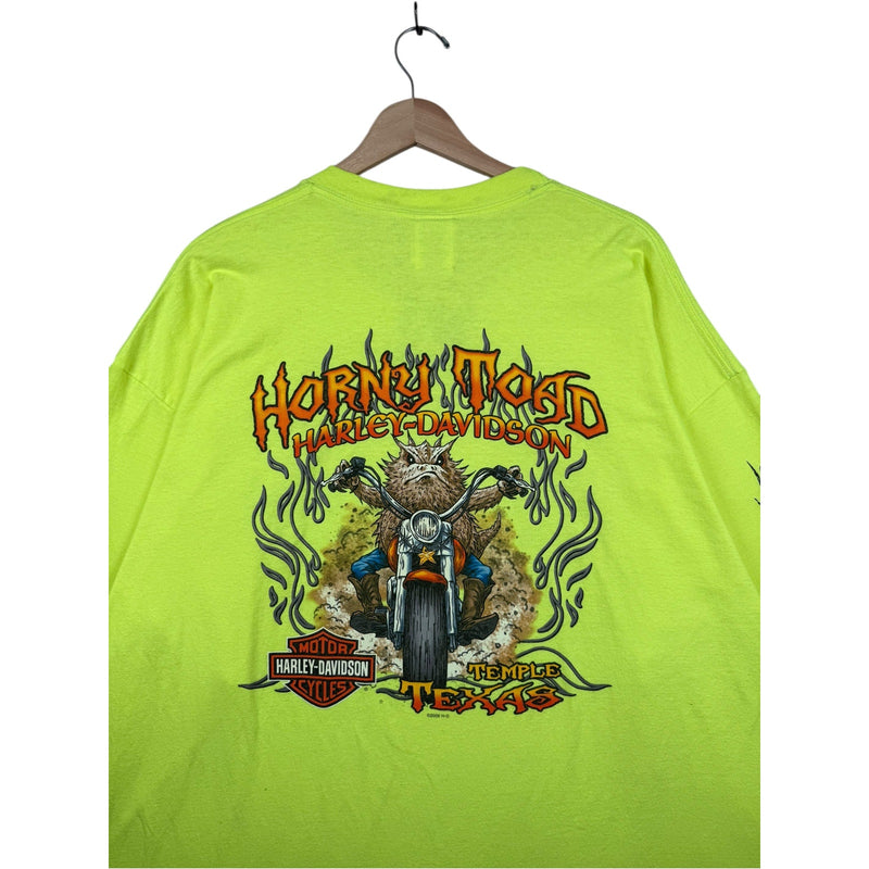 Vintage Harley Davidson Temple Texas T-Shirt