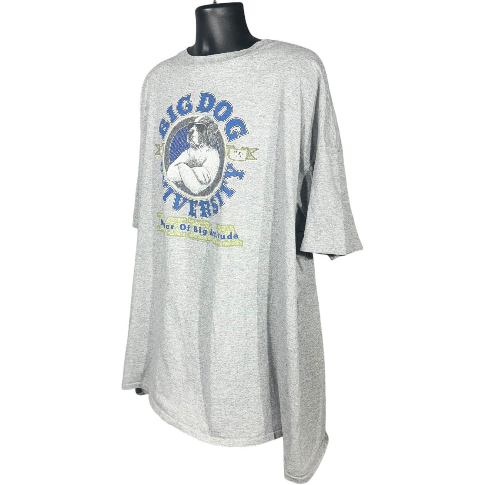 Vintage Big Dog University Tee