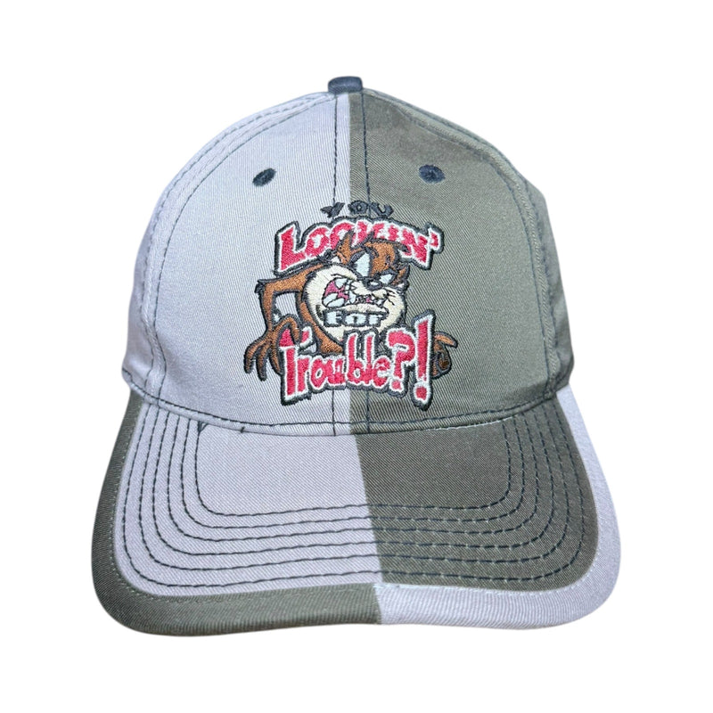 Vintage Looney Tunes Taz Tasmanian Colorblock Snapback Hat