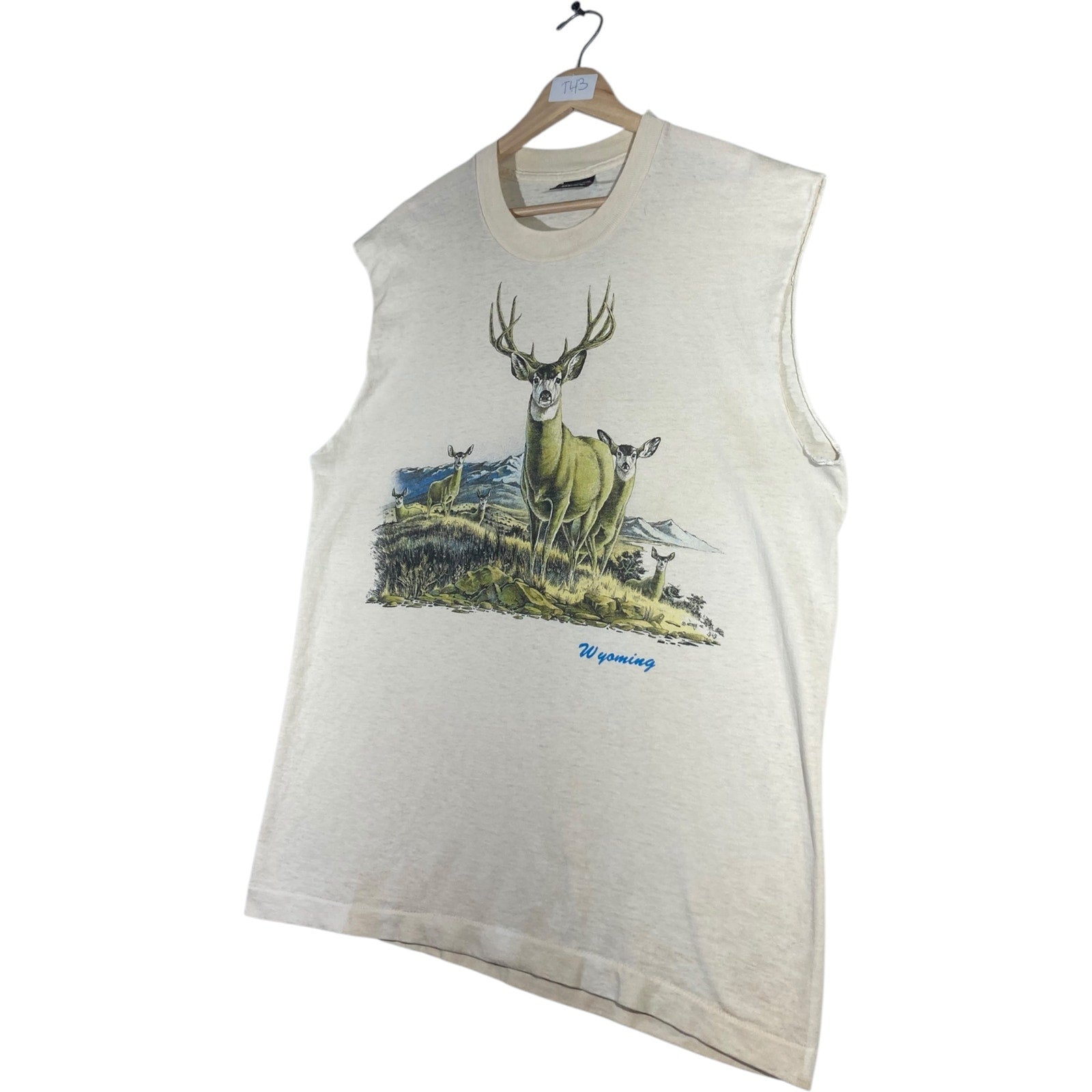 Vintage Fruit of the Loom Muscle Sleeves Tank Top