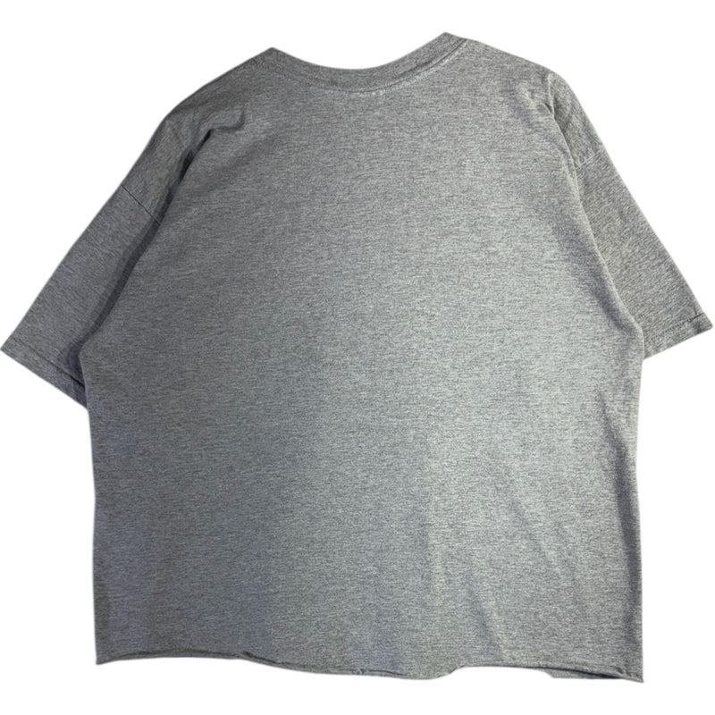 Vintage Carolina Panthers 2003 NFC T-Shirt