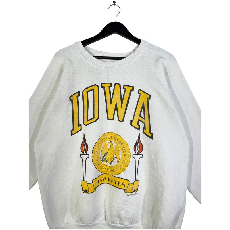 Vintage University Of Iowa Hawkeye Crewneck