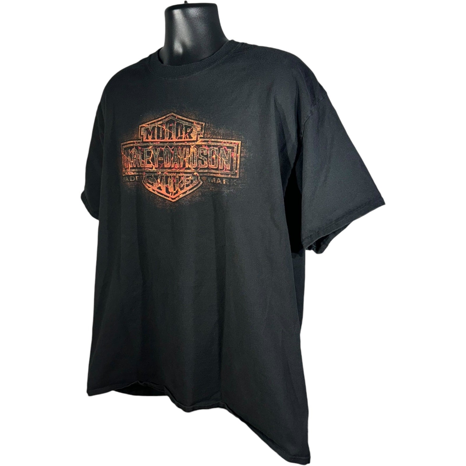 Harley Davidson Flame Logo Tee