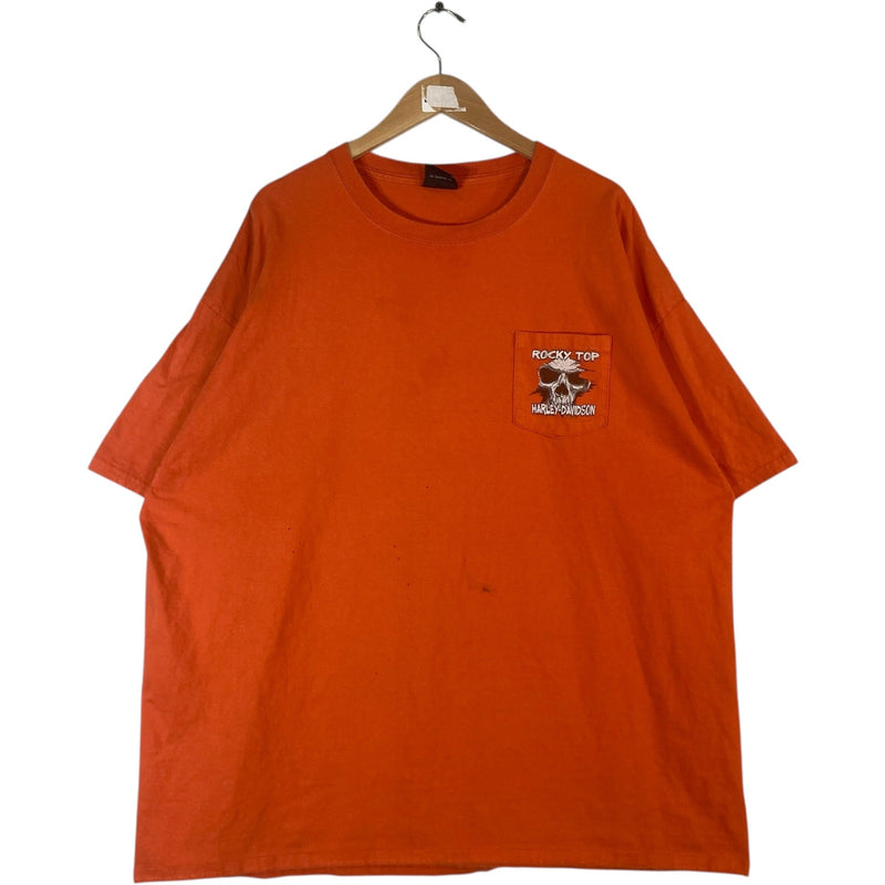 Vintage Harley Davidson Pigeon Forge Tennessee Tee