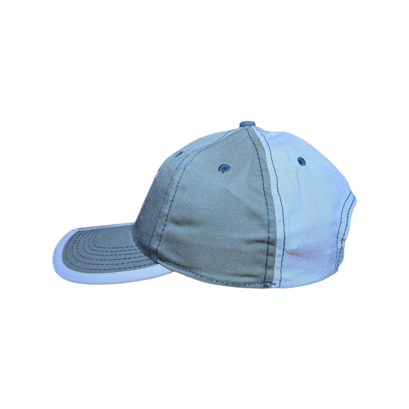 Vintage Looney Tunes Taz Tasmanian Colorblock Snapback Hat