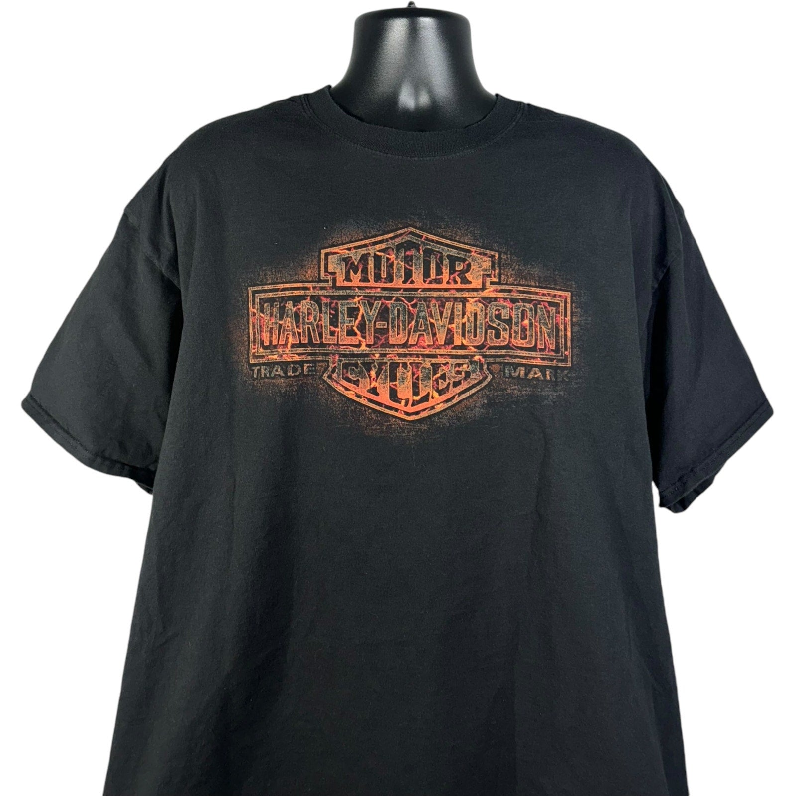 Harley Davidson Flame Logo Tee