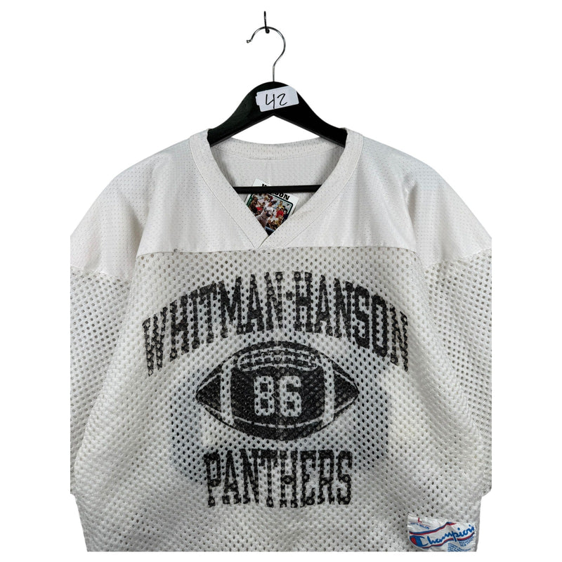 Vintage Whitman-Hanson Panthers Y2K Cropped Jersey