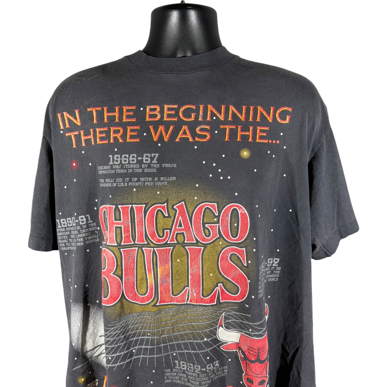 Vintage Chicago Bulls "In The Beginning" Franchise Tee 90s