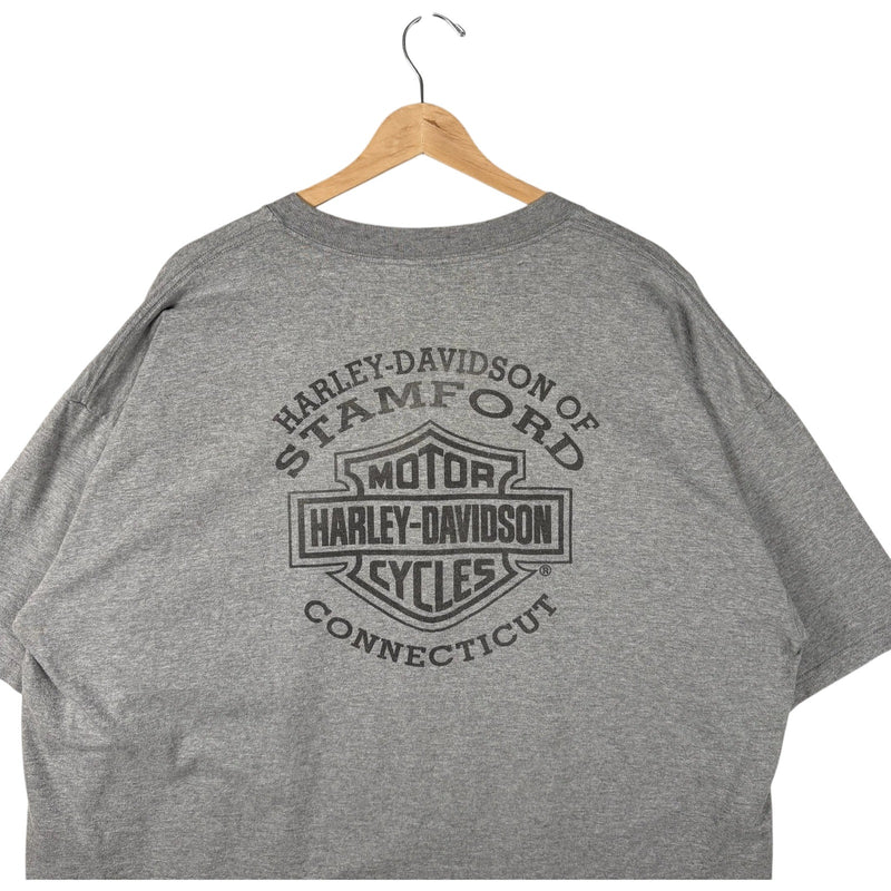 Vintage Harley Davidson Reflection Logo Tee