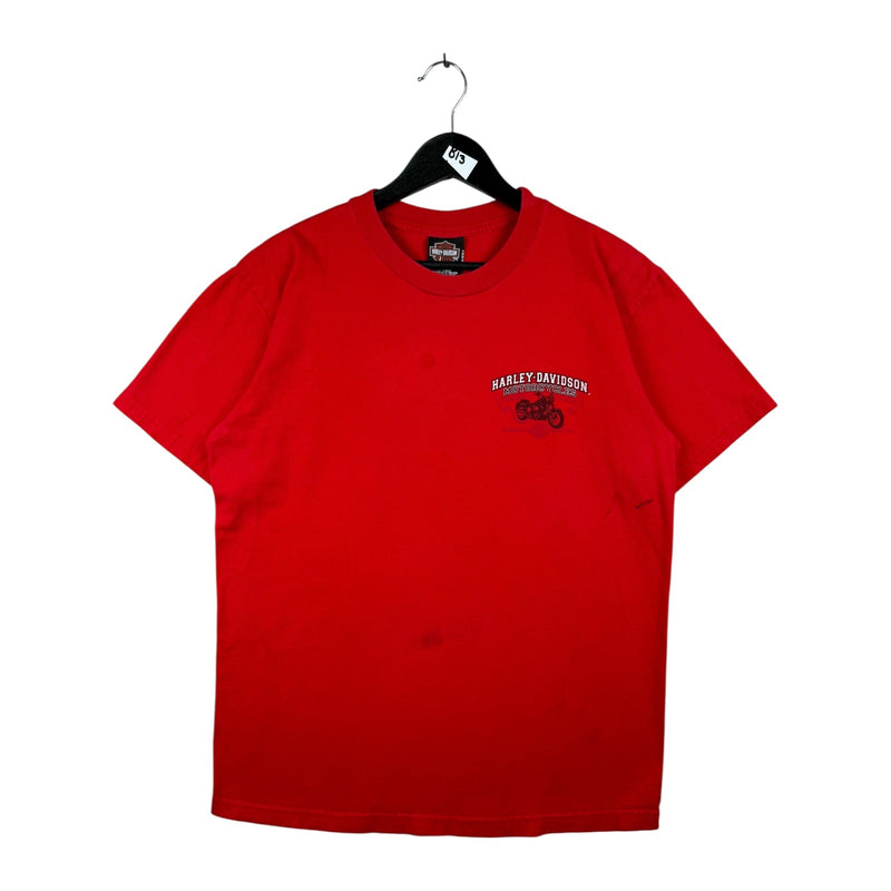 Vintage Harley Davidson Beartooth Bilings Monatana T-Shirt