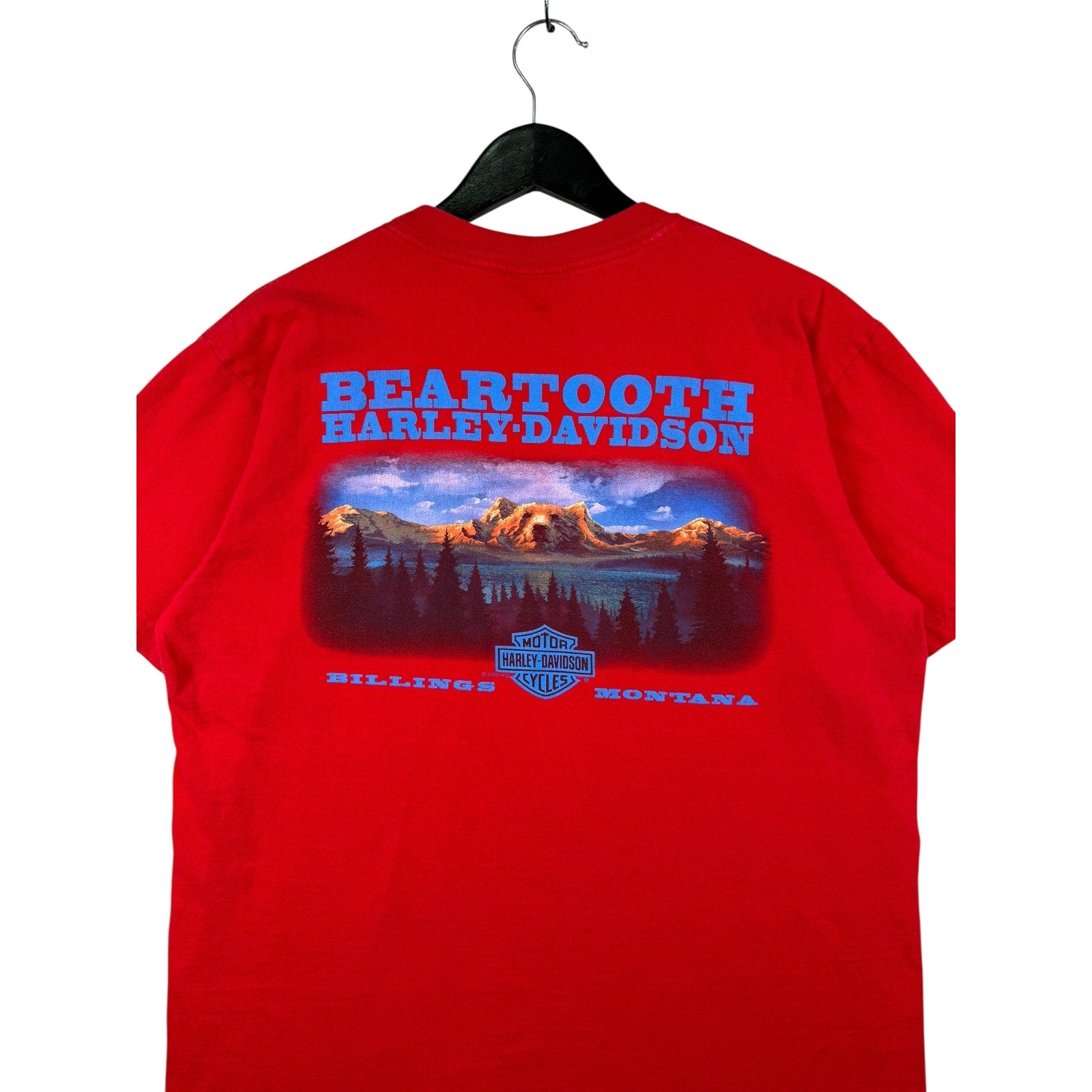 Vintage Harley Davidson Beartooth Bilings Monatana T-Shirt
