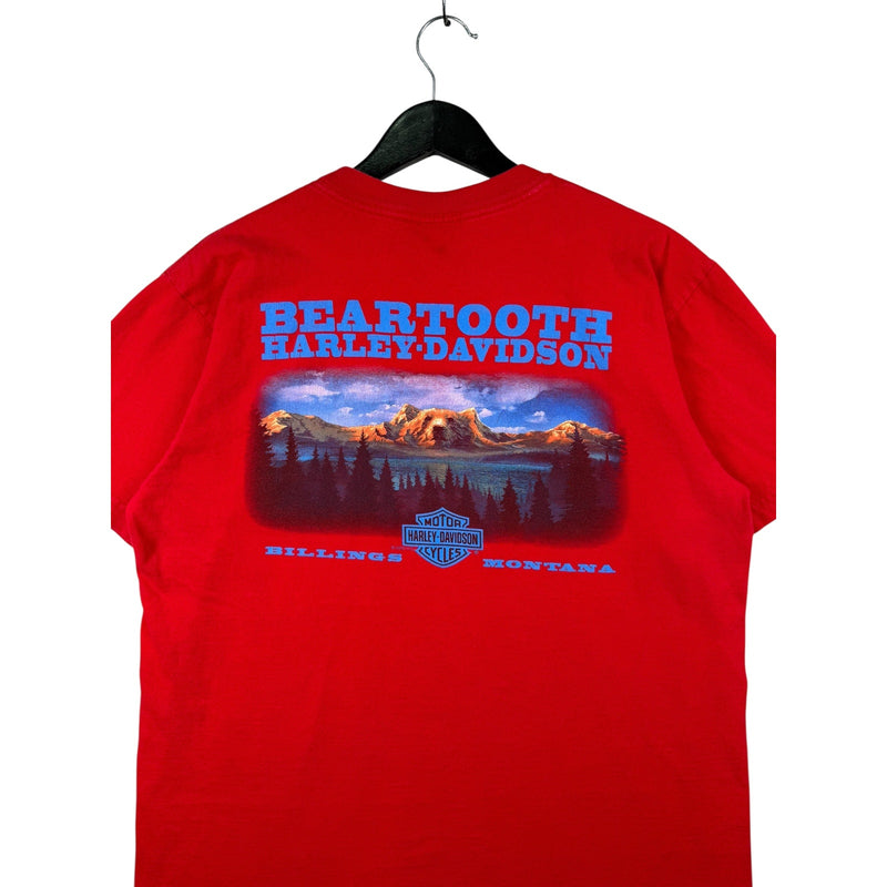 Vintage Harley Davidson Beartooth Bilings Monatana T-Shirt