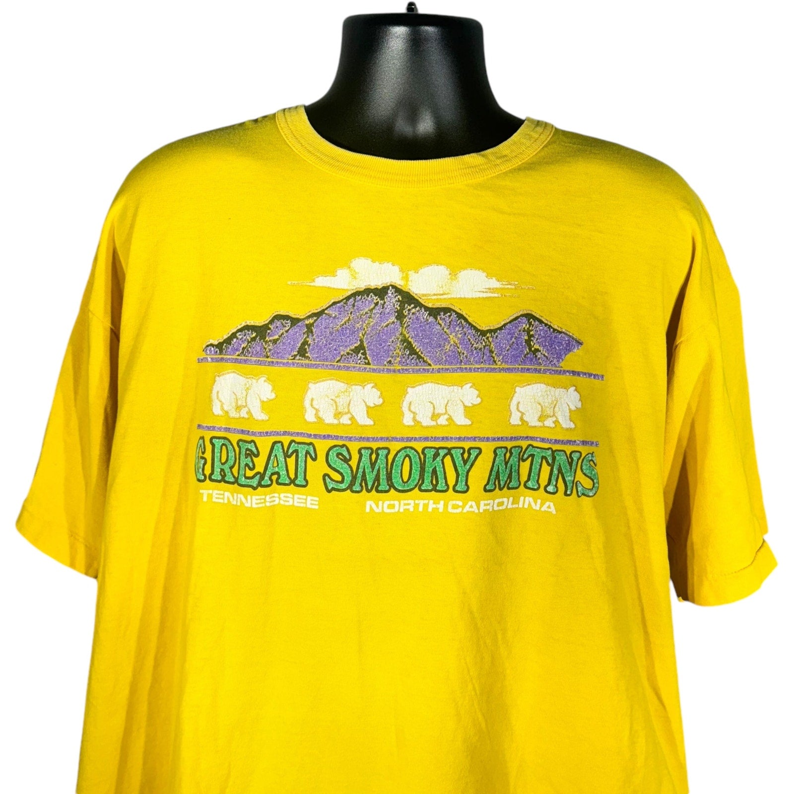 Vintage Great Smokey Mountains Tee