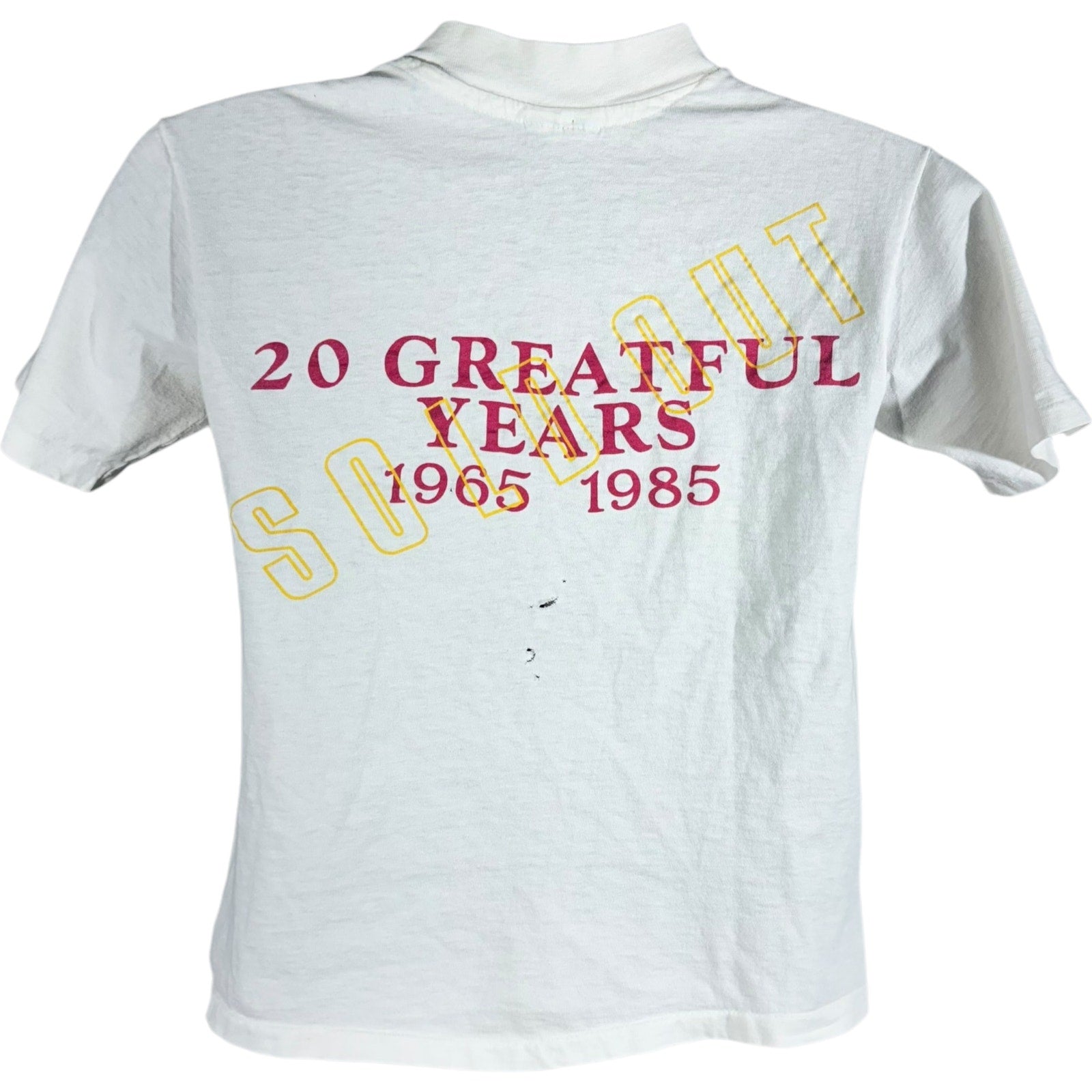 Vintage Grateful Dead "20 Greatful Years" Band Tee 80s