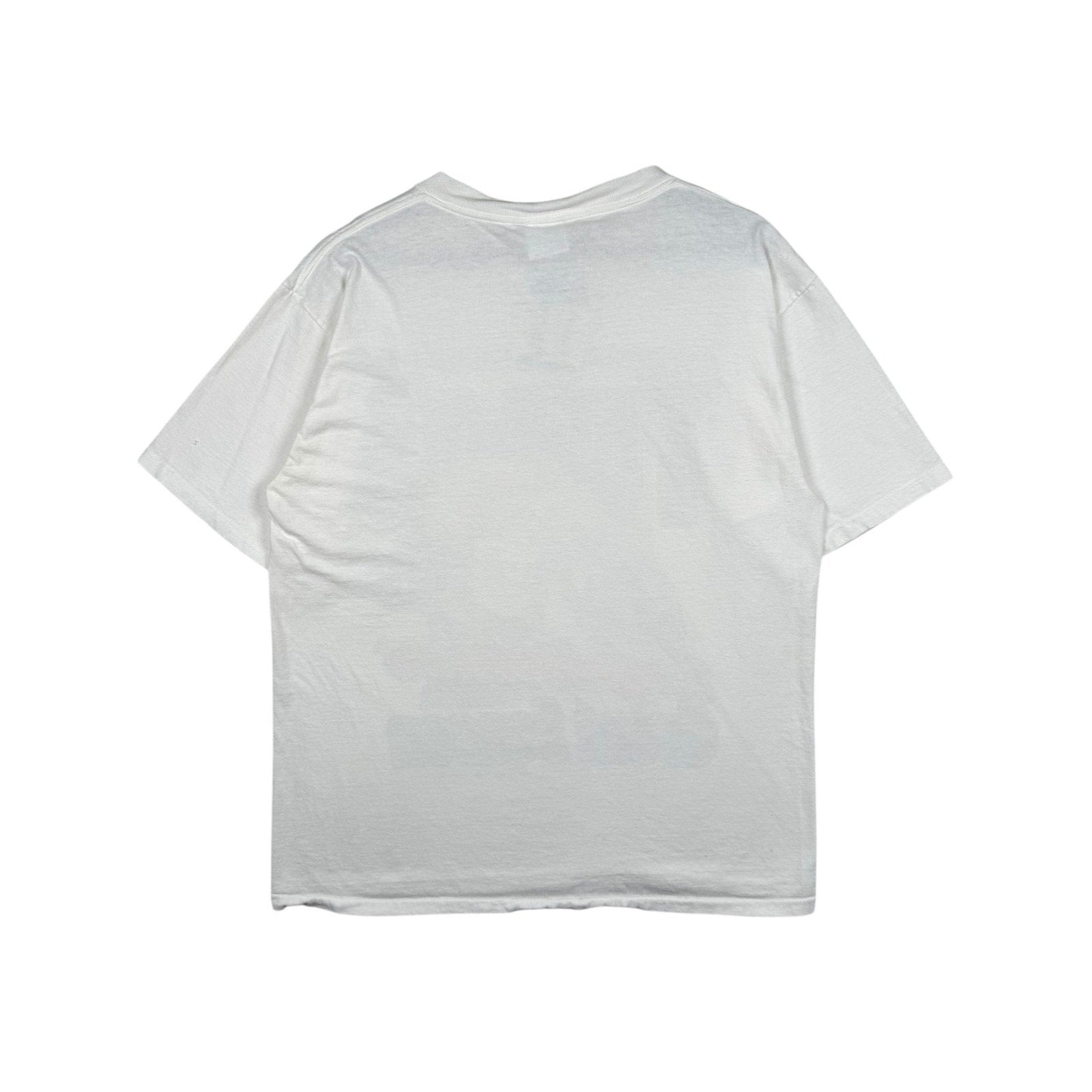 Vintage Tennessee Titans NFL Congratulations T-Shirt