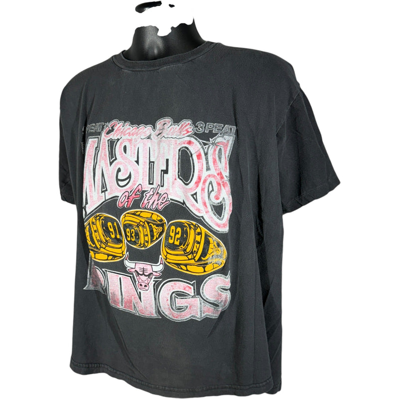 Vintage Chicago Bulls Masters Of The Rings Tee