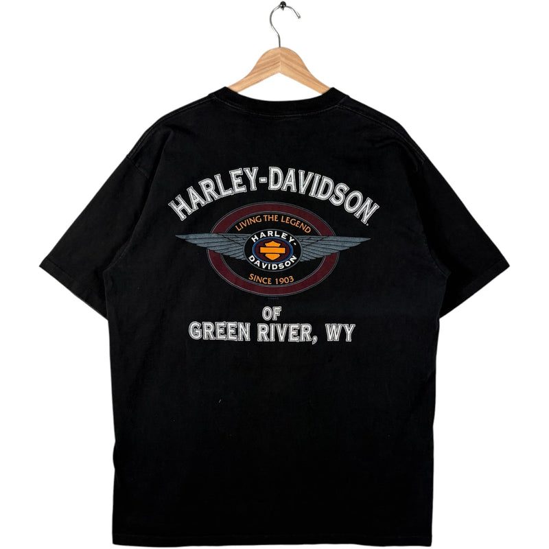 Vintage Harley Davidson "Domination" Green River Wyoming Tee