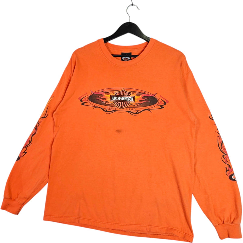 Vintage Harley Davidson Illinois Long Sleeve