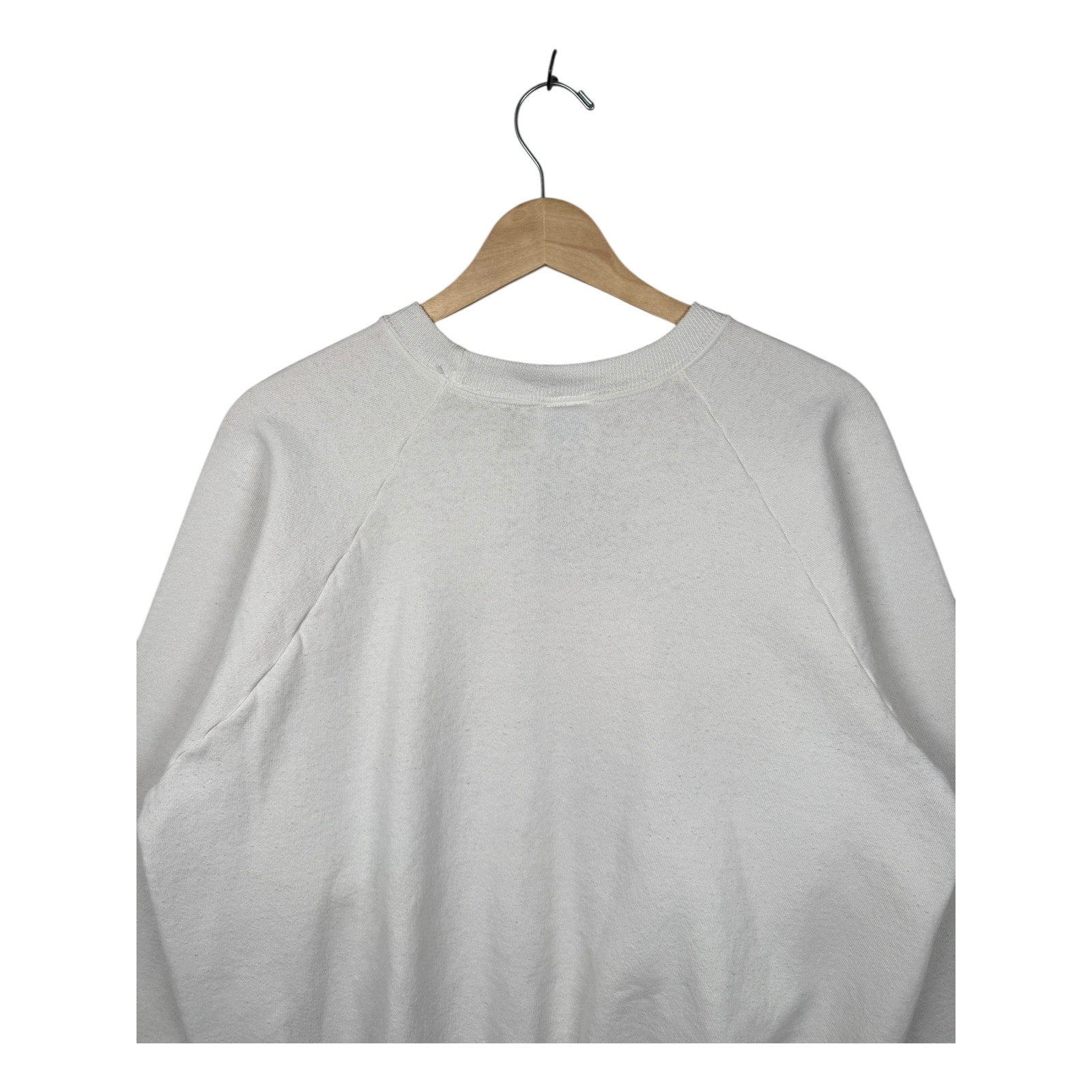 Vintage Winter Cardinals Mailbox Scenic Crewneck