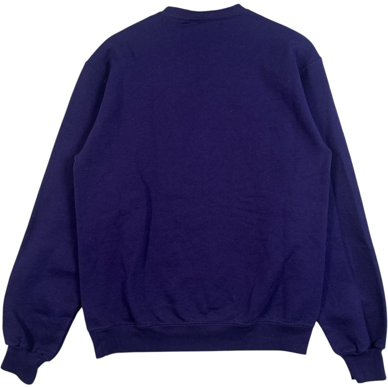 Vintage Champion TCU Horned Frogs Spellout Crewneck