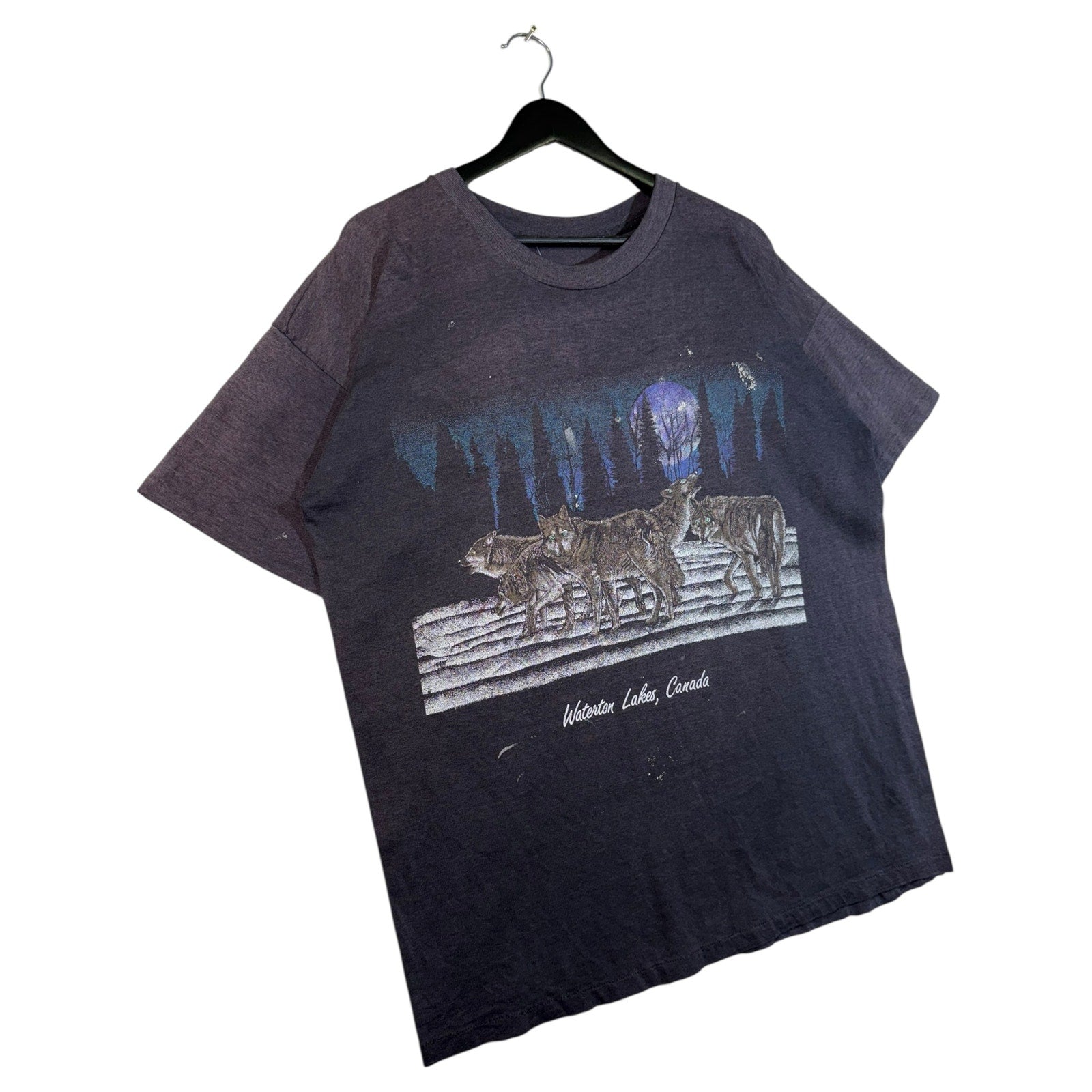 Vintage Waterton Lakes Canada Graphic T-Shirt
