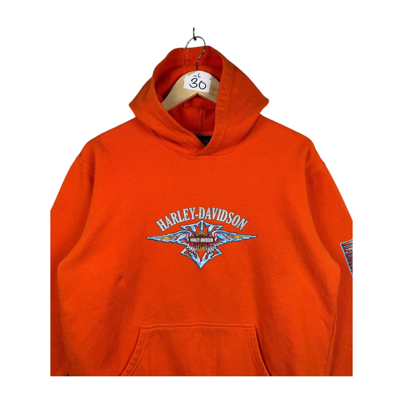 Vintage Harley Davidson Hoodie