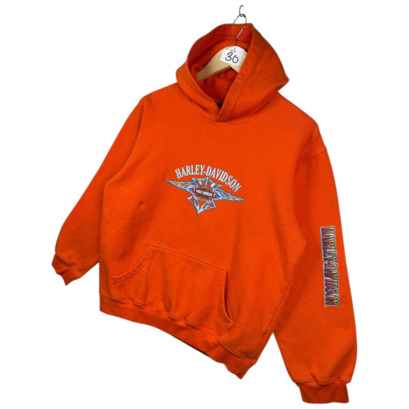 Vintage Harley Davidson Hoodie