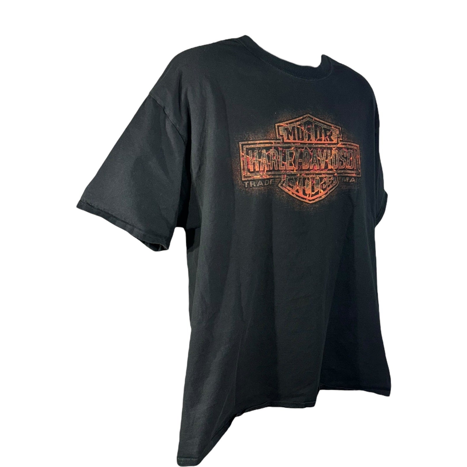 Harley Davidson Flame Logo Tee