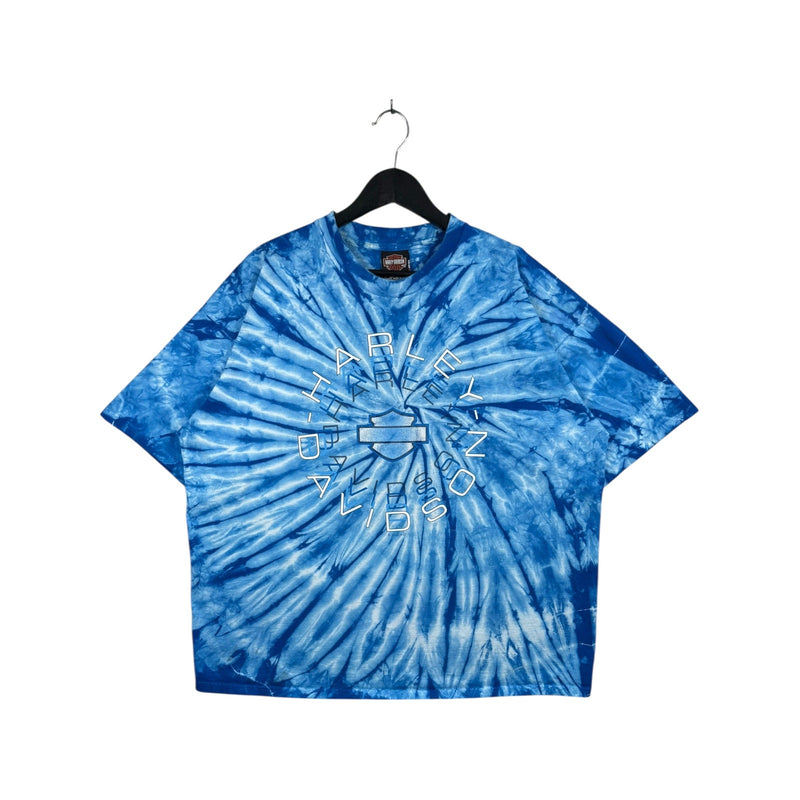 Vintage Harley Davidson San Diego California Tie Dye T-Shirt