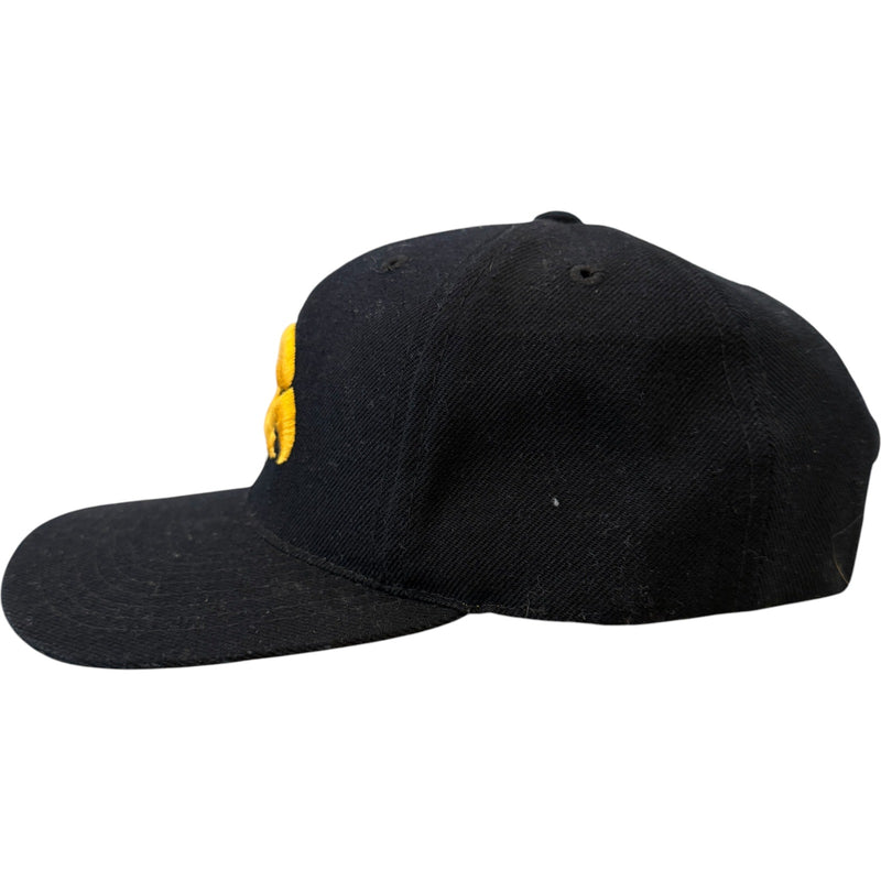 Vintage Iowa Hawkeyes 3D Embroidered Snapback Hat