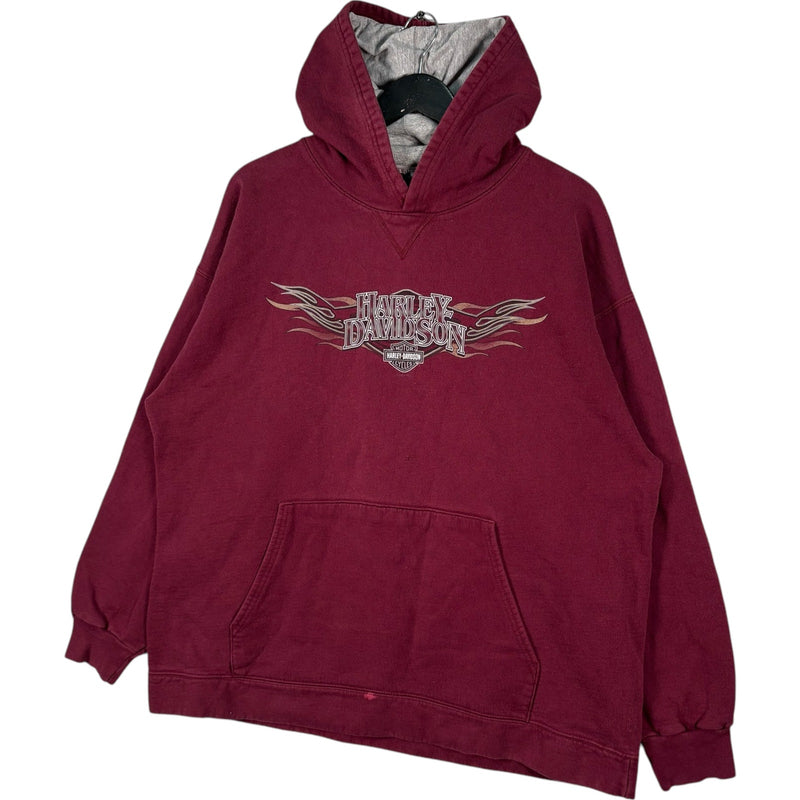 Vintage Harley Davidson Richmond, VA Flames Spellout Hoodie