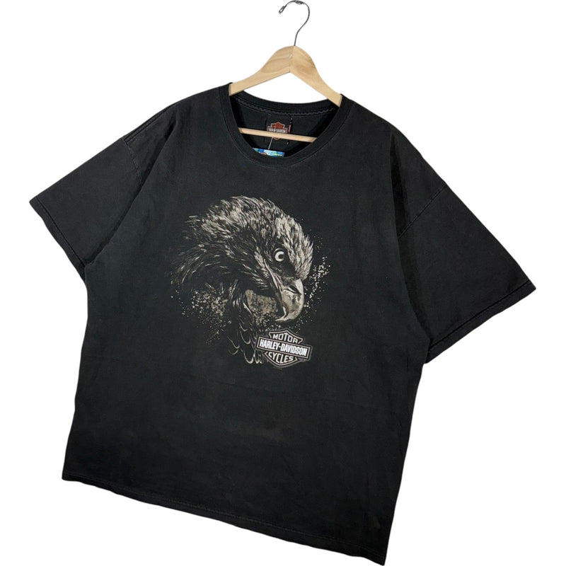 Vintage Harley Davidson O'Toole's Wurtsboro, NY Eagle Tee