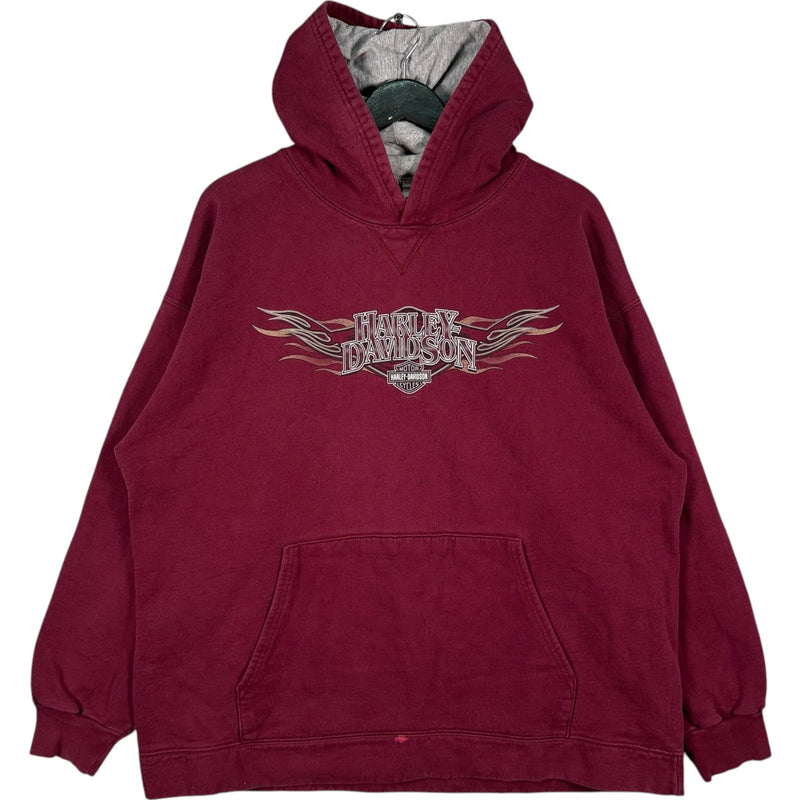 Vintage Harley Davidson Richmond, VA Flames Spellout Hoodie