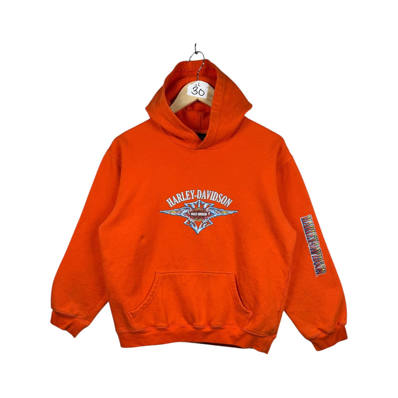 Vintage Harley Davidson Hoodie
