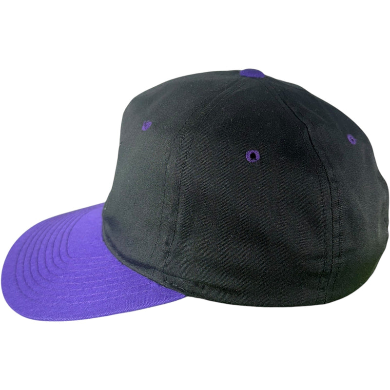 Vintage Sacramento Kings NBA Snapback Hat