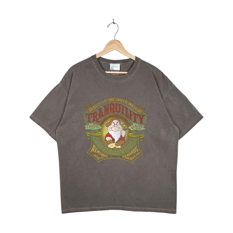 Vintage Disney Grumpy Tranquility Graphic T-Shirt