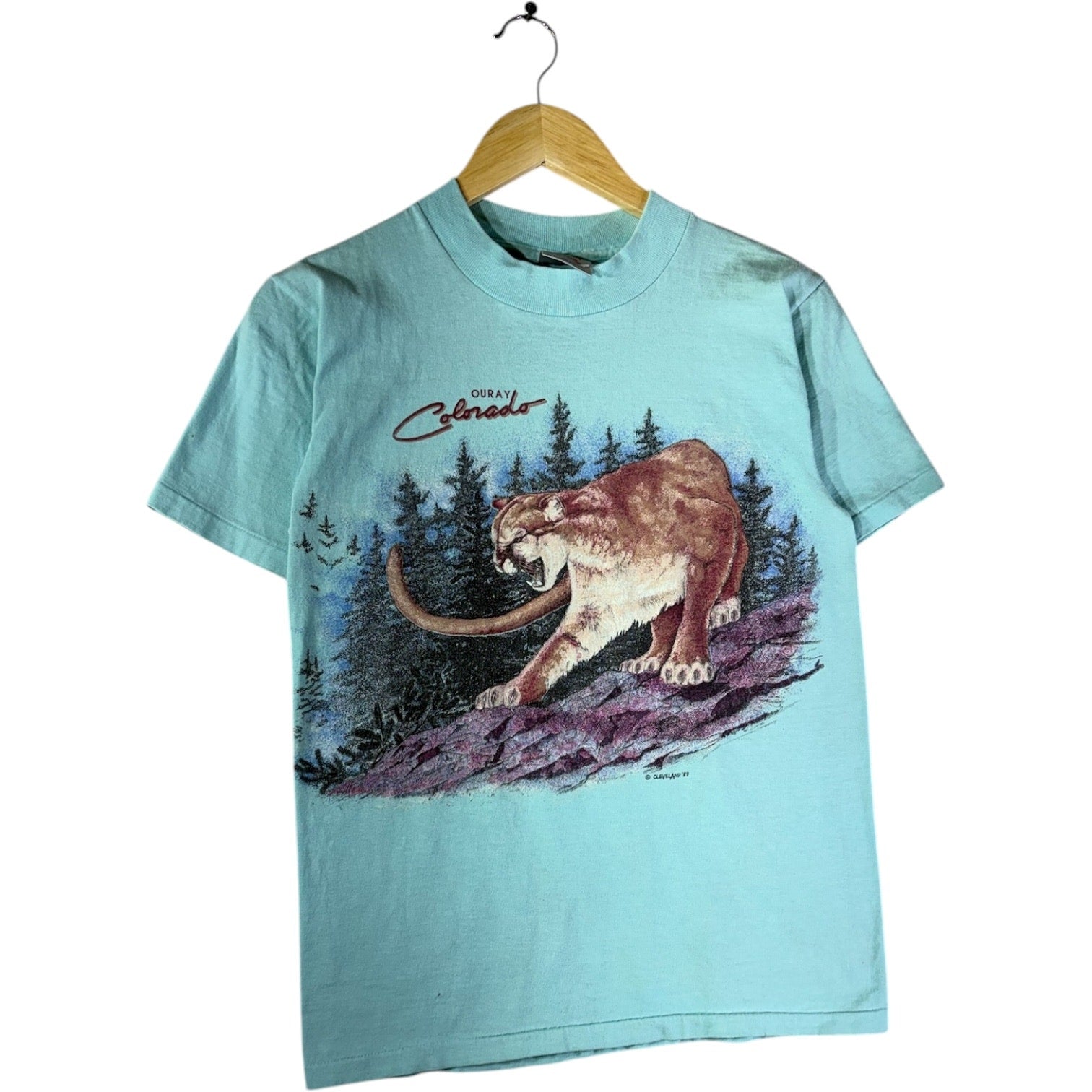 Vintage Mountain Lion Graphic T-Shirt