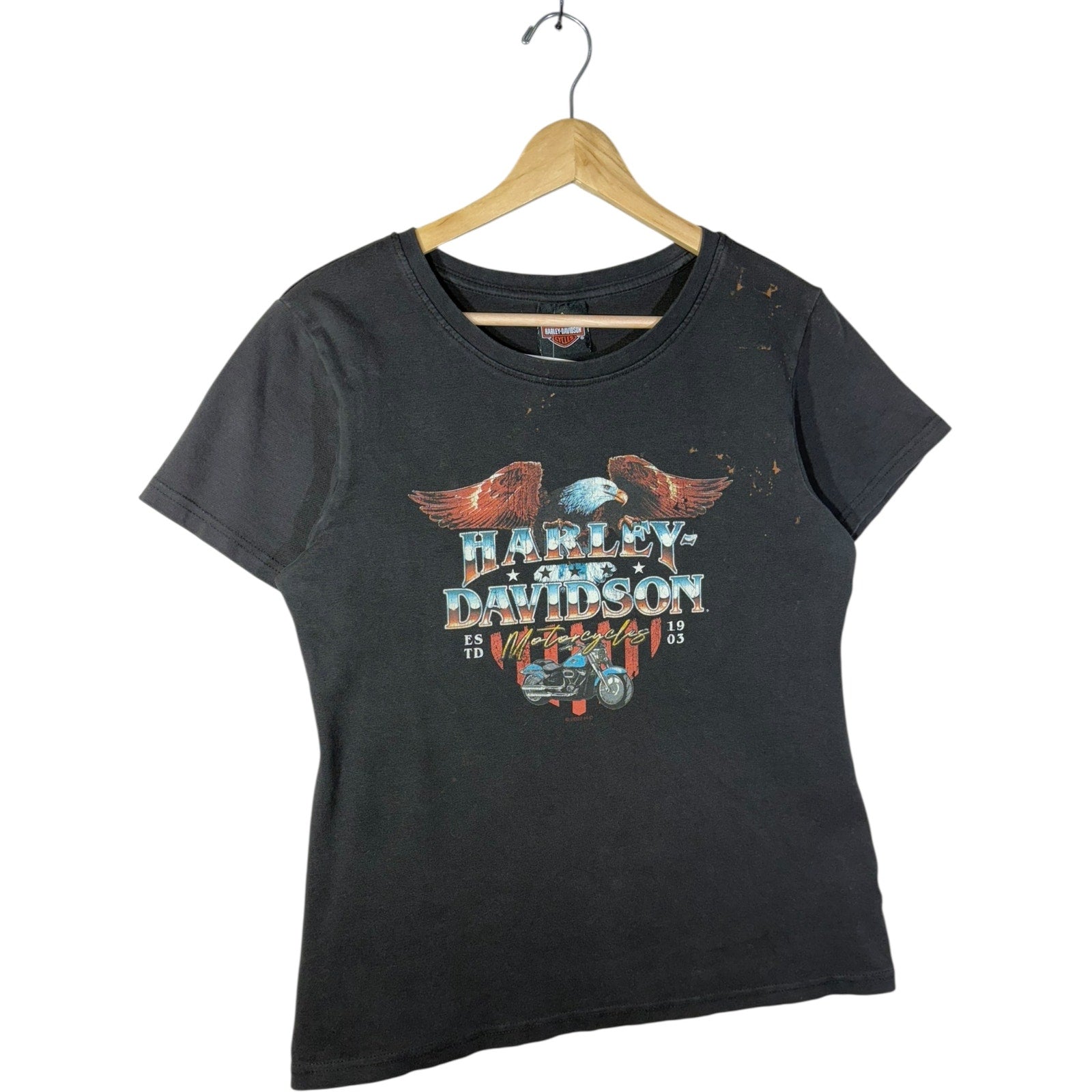 Vintage Harley-Davidson Eagle American Flag T-Shirt