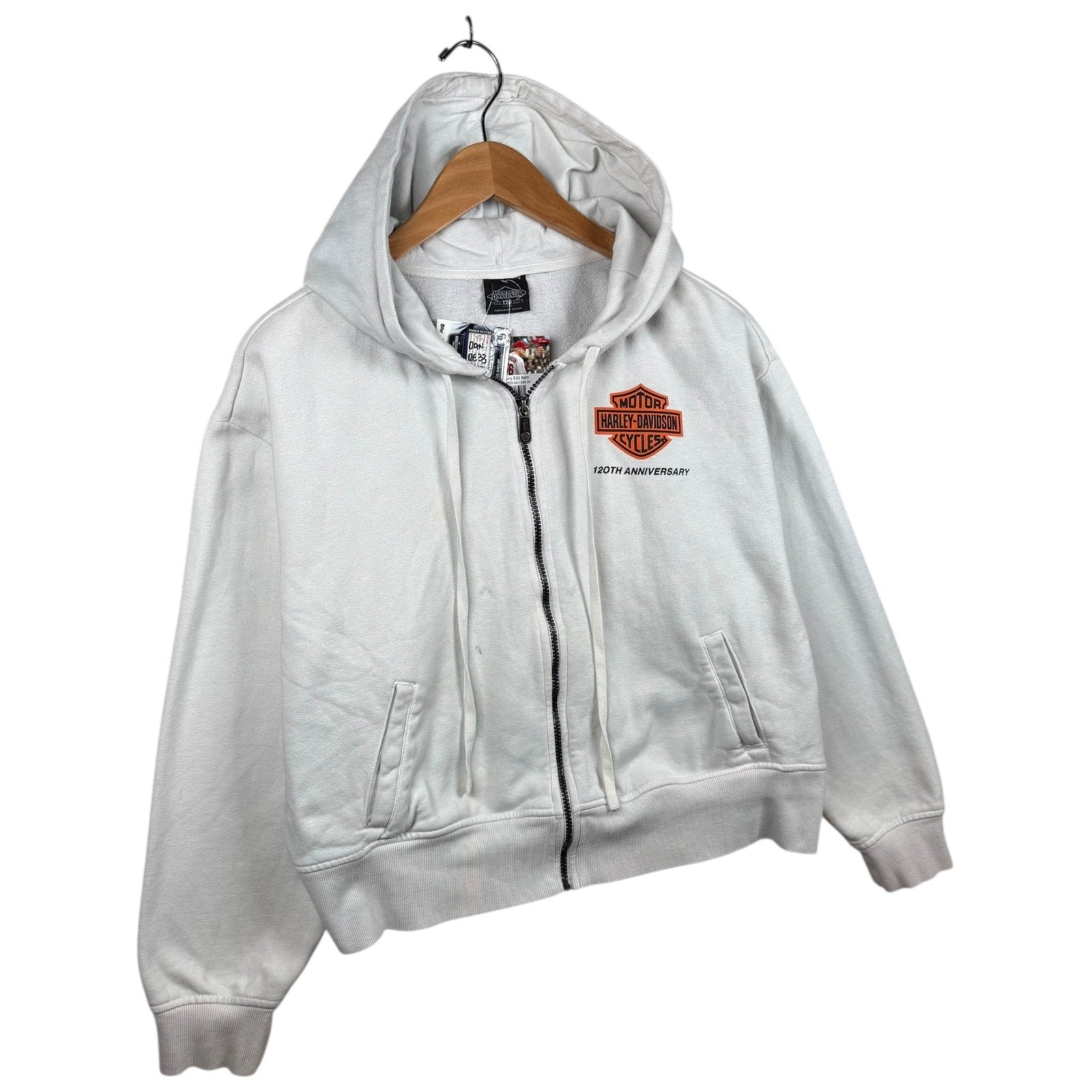 Vintage Harley Davidson Logo 120th Anniv Graphic Hoodie