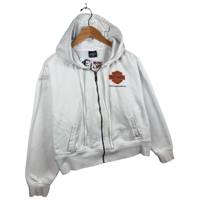 Vintage Harley Davidson Logo 120th Anniv Graphic Hoodie